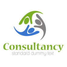 Consultancy partner logo